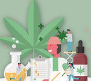 Vente de CBD (infographie) – Enquête mystère en pharmacie et en magasin