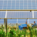 Énergie : fausses promesses du photovoltaïque
