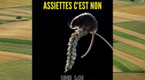 Loi DUPLOMB : Régressions sanitaires et environnementales