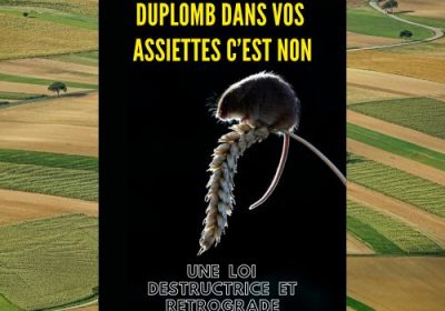 Loi DUPLOMB : Régressions sanitaires et environnementales
